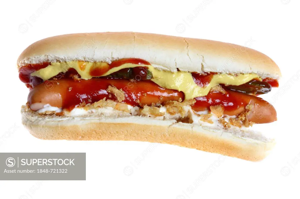 Fast food, hot dog with ketchup, mayonnaise, mustard and fried onions
