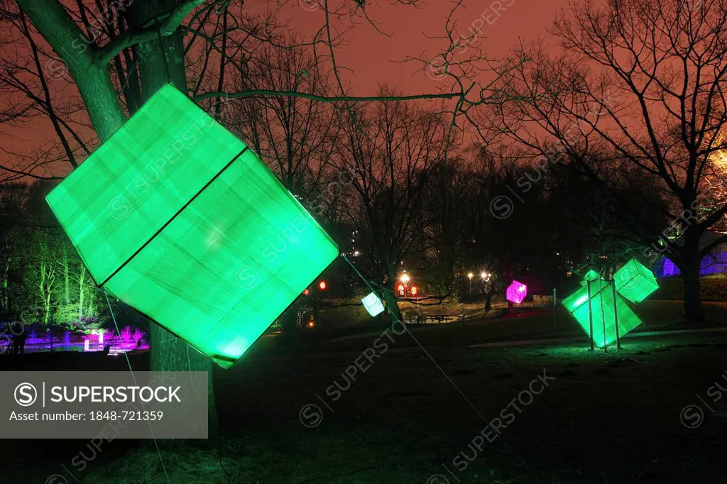 Artistic light installation in Gruga Park, park lighting, art action, Essen, North Rhine-Westphalia, Germany, Europe