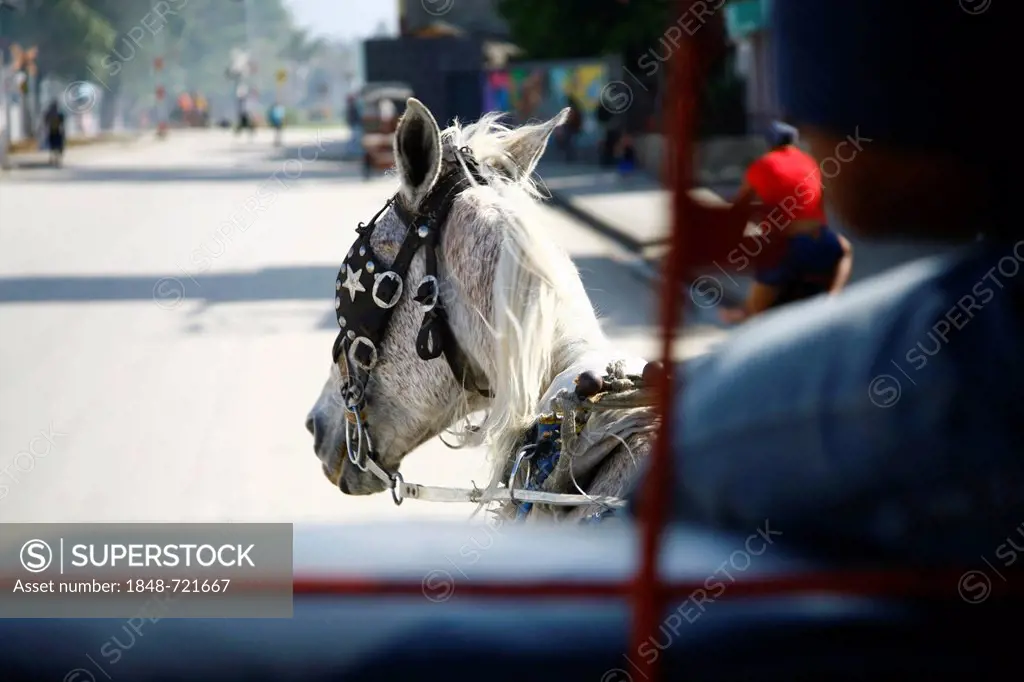 Horse-drawn carriage in Bayamo, Cuba, Greater Antilles, Caribbean