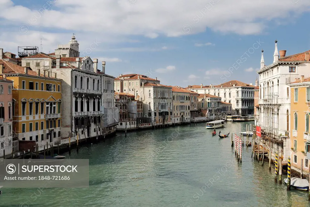 Houses, palazzo, palaces on the Grand Canal, Canal or Canale Grande, Venice, Italy, Europe