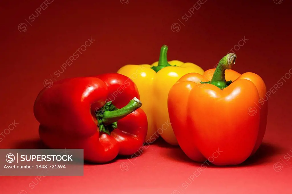 Three bell peppers (Capsicum)