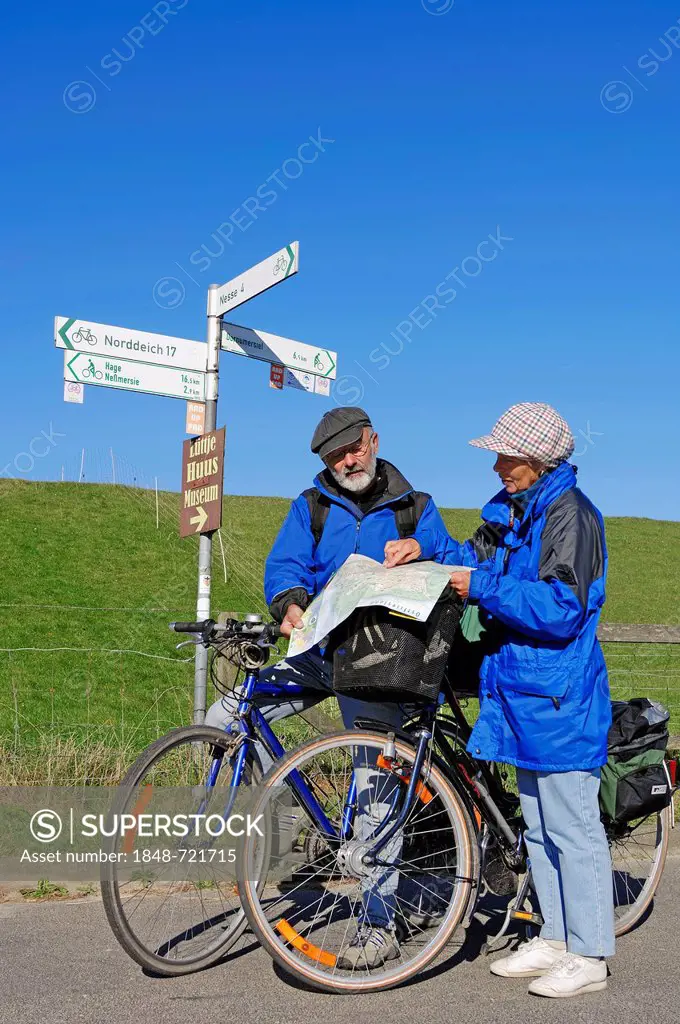 Cyclists reading a map, bike path on a dyke near Nesse, East Frisia, Lower Saxony, Germany, Europe