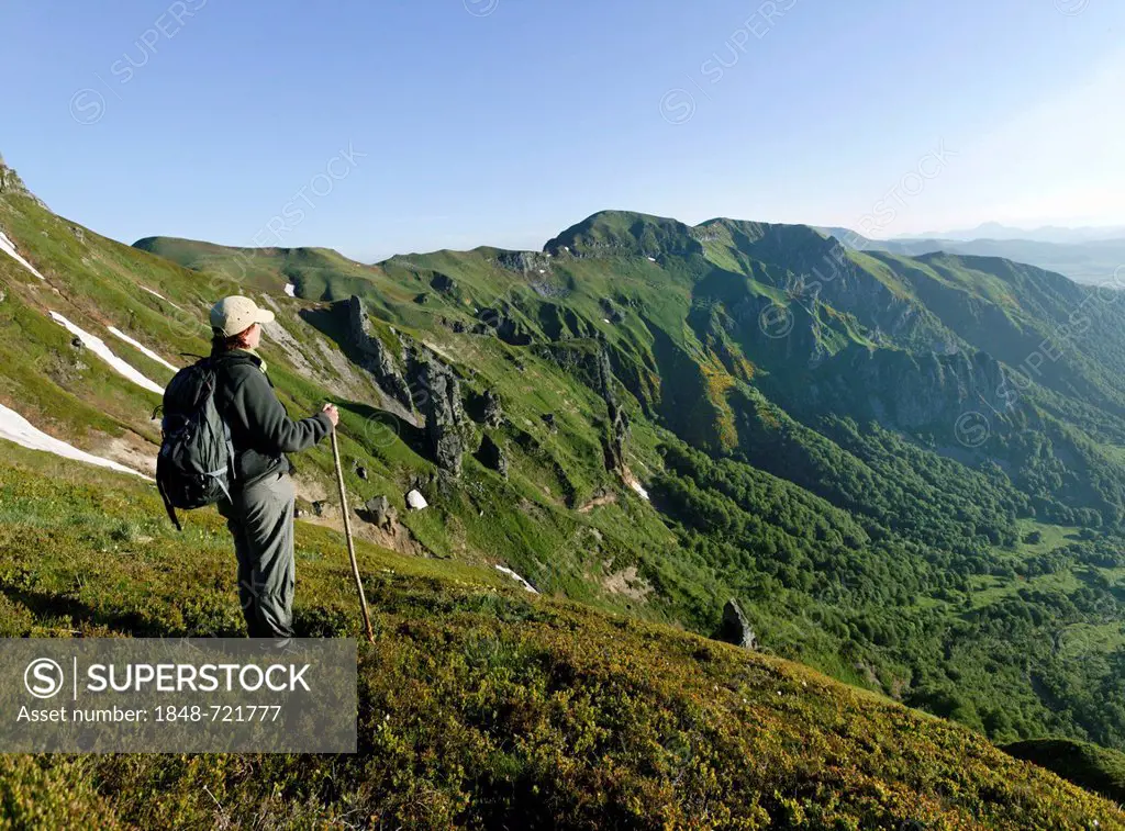 Hiker in the Massif du Sancy, Chaudefour valley, Parc Naturel Regional des Volcans d'Auvergne, Regional Nature Park of the Volcanoes of Auvergne, Mont...