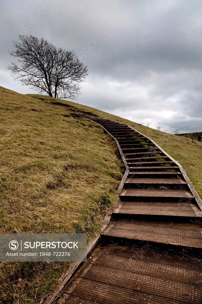 Wooden steps giving easy access to the top of St Catherine's Hill, Winchester, England, United Kingdom, Europe
