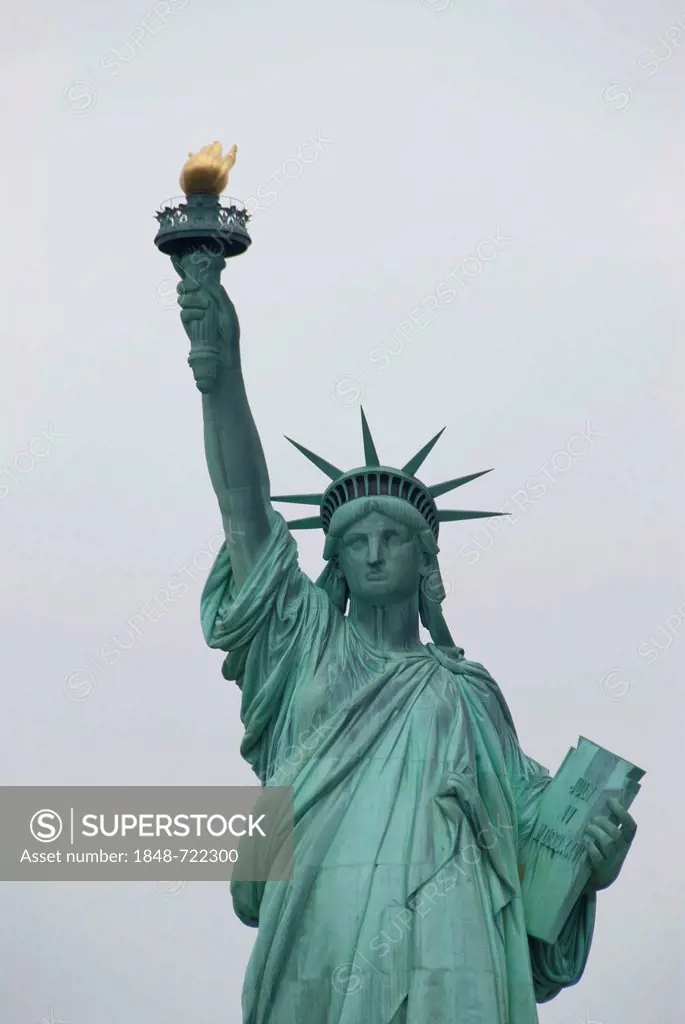 Statue of Liberty, gray sky, New York City, USA, North America, America