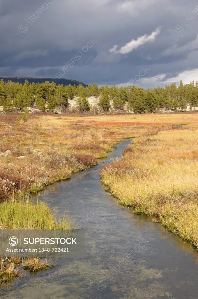 Landscape with a stream in Rondane National Park, Norway, Europe