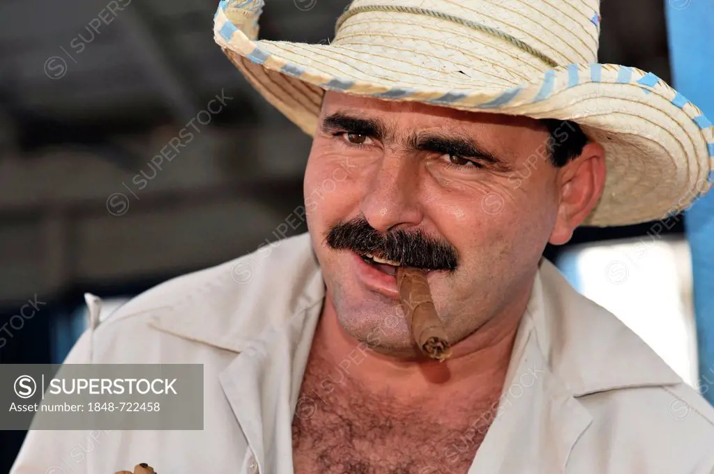Tobacco farmer smoking a cigar, Tobacco (Nicotiana), tobacco cultivation in the Valle de Vinales National Park, Vinales, Province of Pinar del Rio, Cu...
