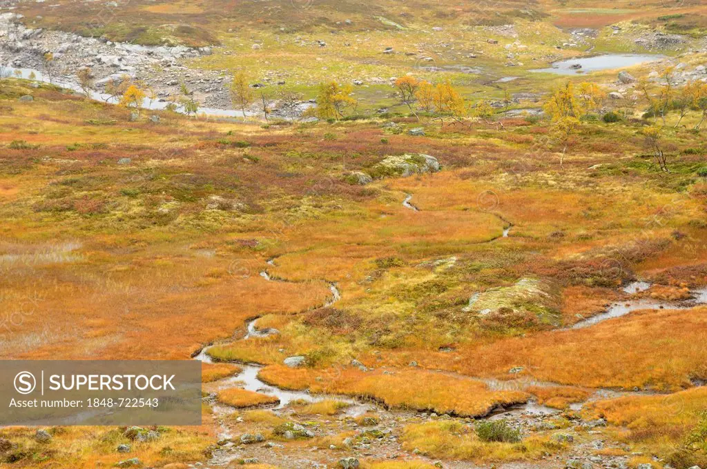 Fjell landscape in autumn, Hardangervidda, Norway, Europe