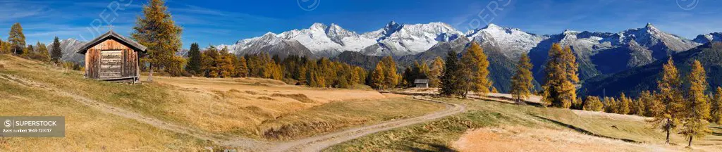 Laerchenwiesen larch meadows, in front of the Olperer, Fussstein, Schrammacher, Sagwandspitze, Vinaders and Obernberg Mountains, Tyrol, Austria, Europ...
