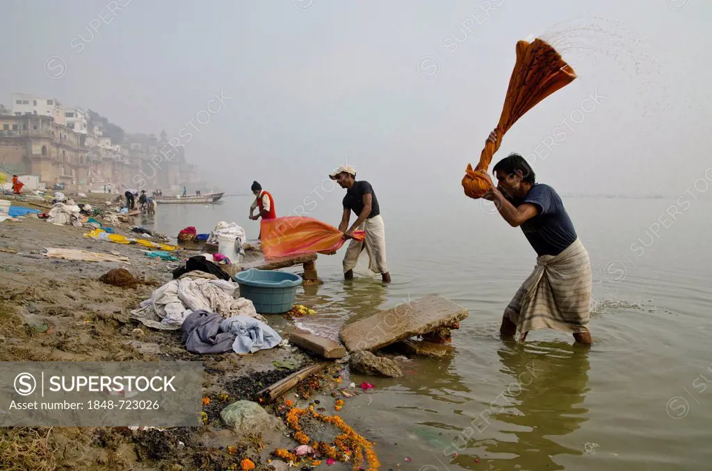 Dhobi walas, people of the laundry cast, doing laundry at the ghats along the holy river Ganges, Varanasi, Uttar Pradesh, India, Asia