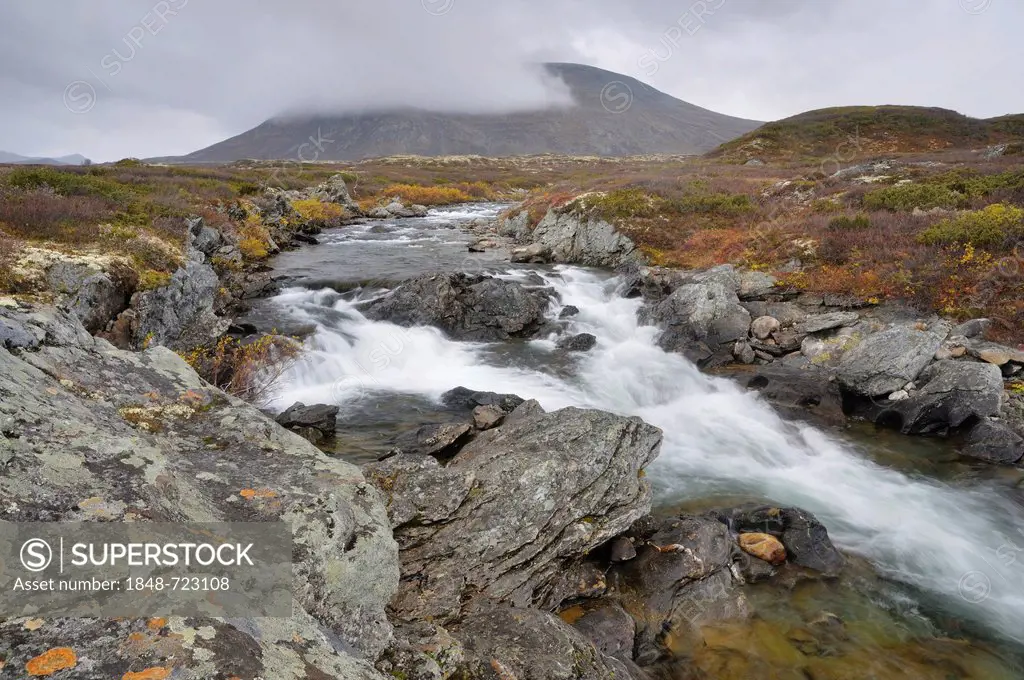 Stropla stream in Dovrefjell Sunndalsfjella National Park, Norway, Europe