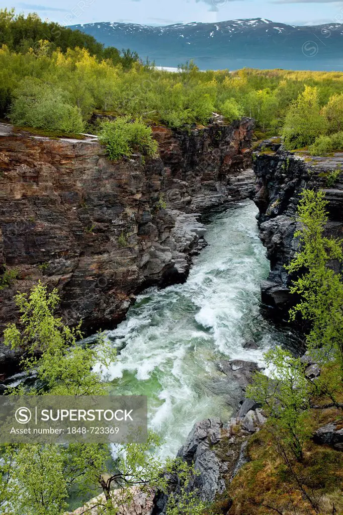 Gorge, Abiskojåkka, Abiskojakka river, Abisko National Park, Lapland, northern Sweden, Sweden, Scandinavia, Europe