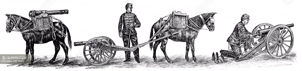Historical illustration from the 19th Century, depiction of a French mountain Gun