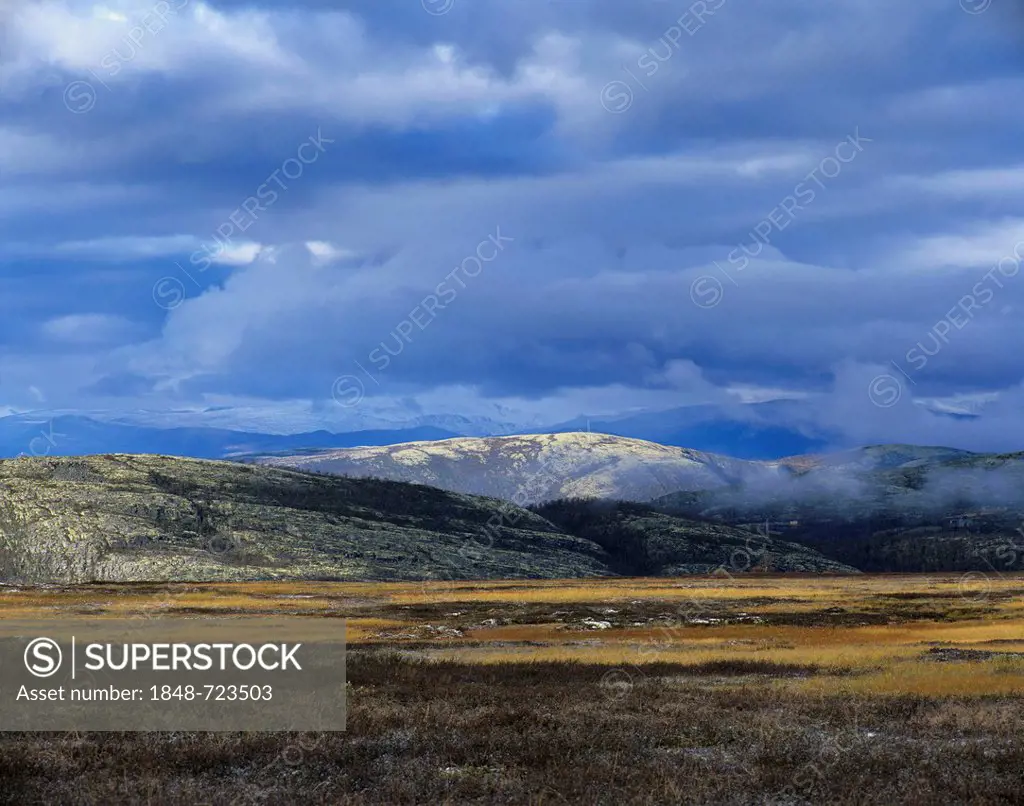 Fjell landscape and clouds in the early morning, near Mysusæter, Rondane National Park, Norway, Scandinavia, Europe