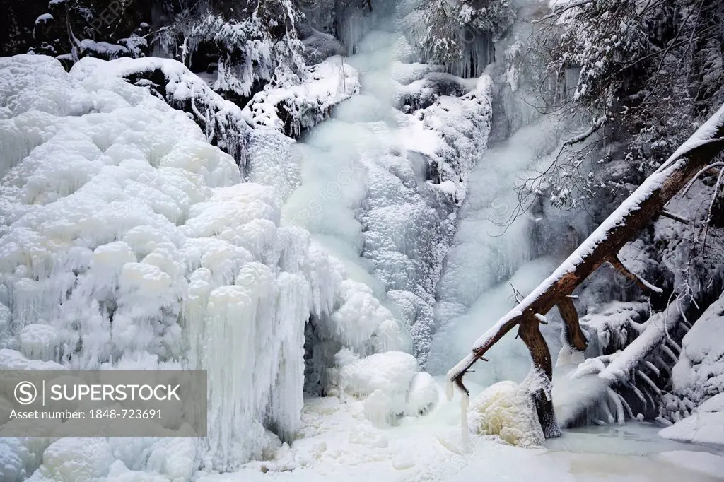 Falkau waterfall, completely frozen, Falkau, Mt Feldberg, Black Forest, Baden-Wuerttemberg, Germany, Europe