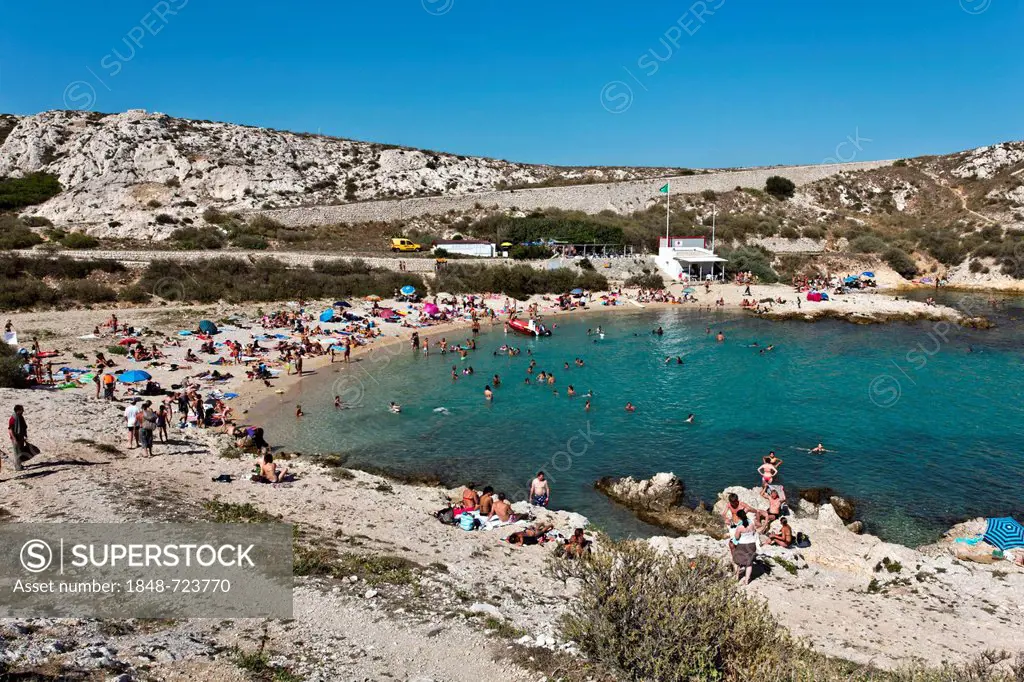 Beach, Calanques de Saint Esteve, Ile Ratonneu, Frioul Archipelago, Marseille or Marseilles, Provence-Alpes-Cote d'Azur, France, Europe