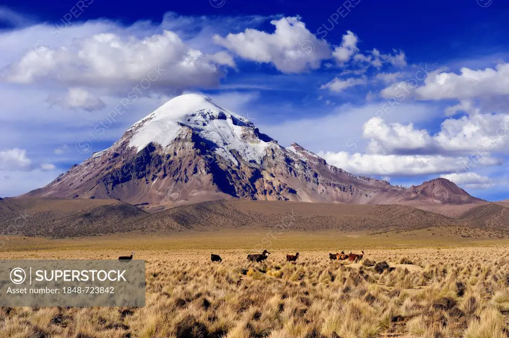 Sajama, Bolivia's highest mountain with plateau, Sajama National Park, La Paz, Bolivia, South America