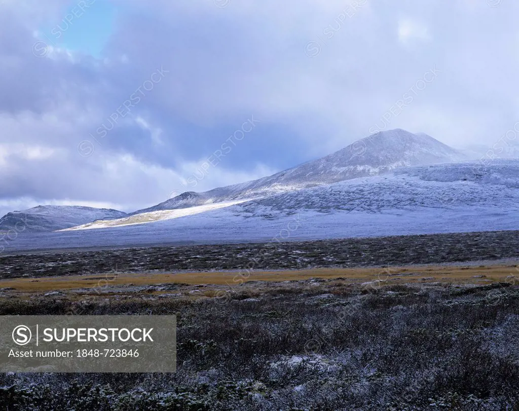 Fjell landscape with the first snow, near Mysusæter, Rondane National Park, Norway, Scandinavia, Europe