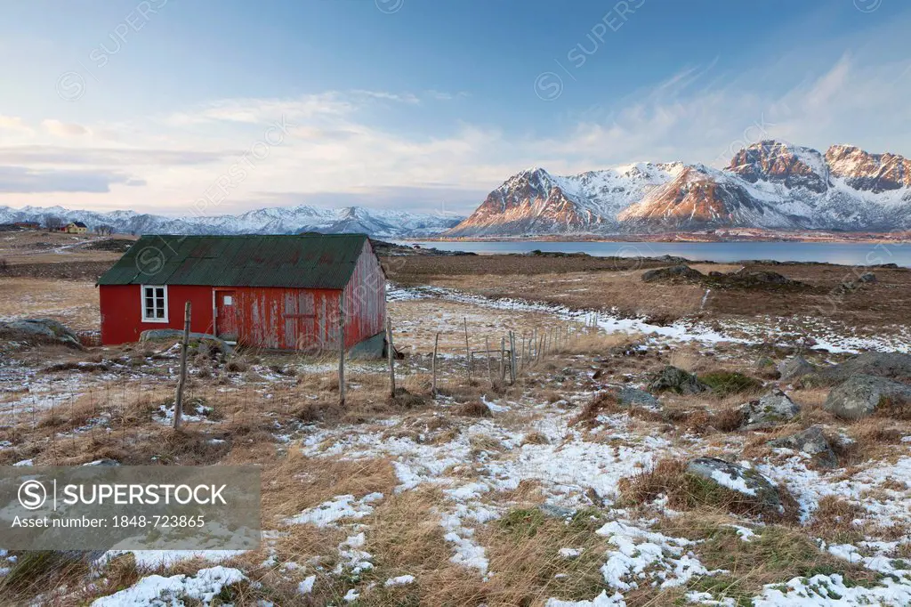 Small red hut, mountains by the sea at back, Lofoten Islands, Norway, Europe