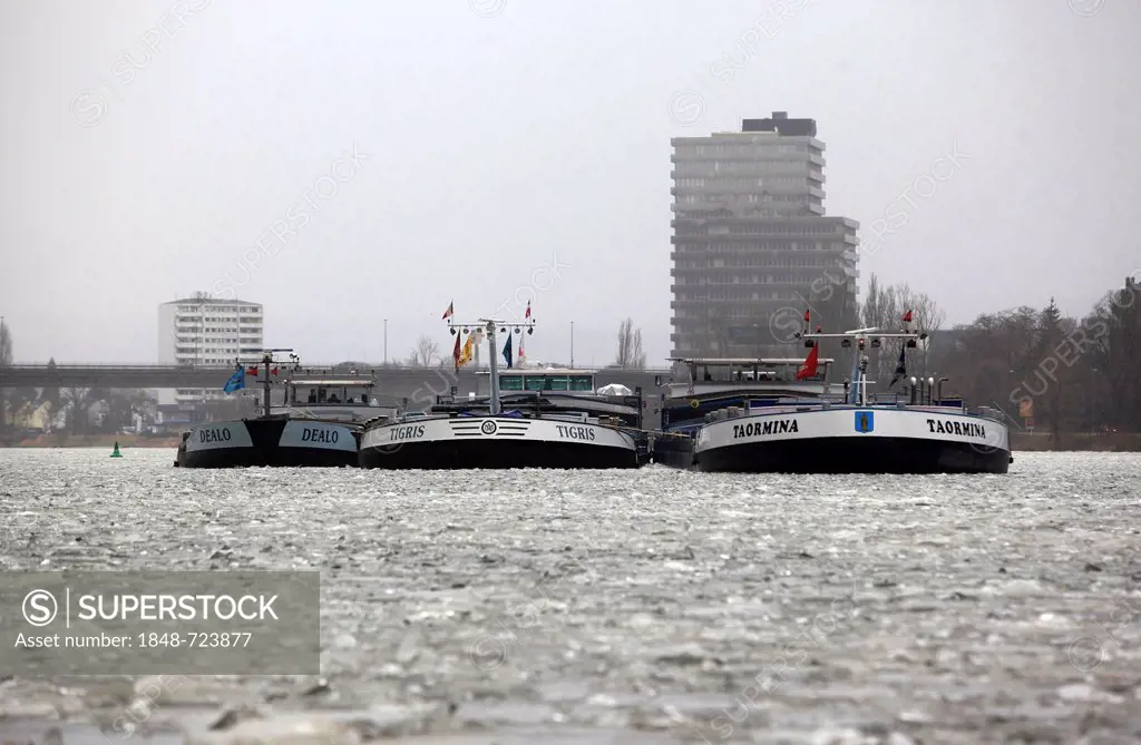 Cargo ships are stuck in the ice on the Moselle river at Guels, Koblenz, Rhineland-Palatinate, Germany, Europe