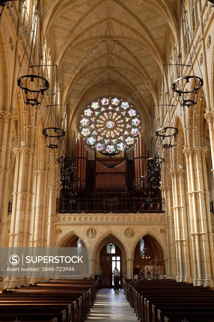Rose window and aisle, interior of the cathedral Church of Our Lady and St Philip Howard, Arundel, West Sussex, England, United Kingdom, Europe