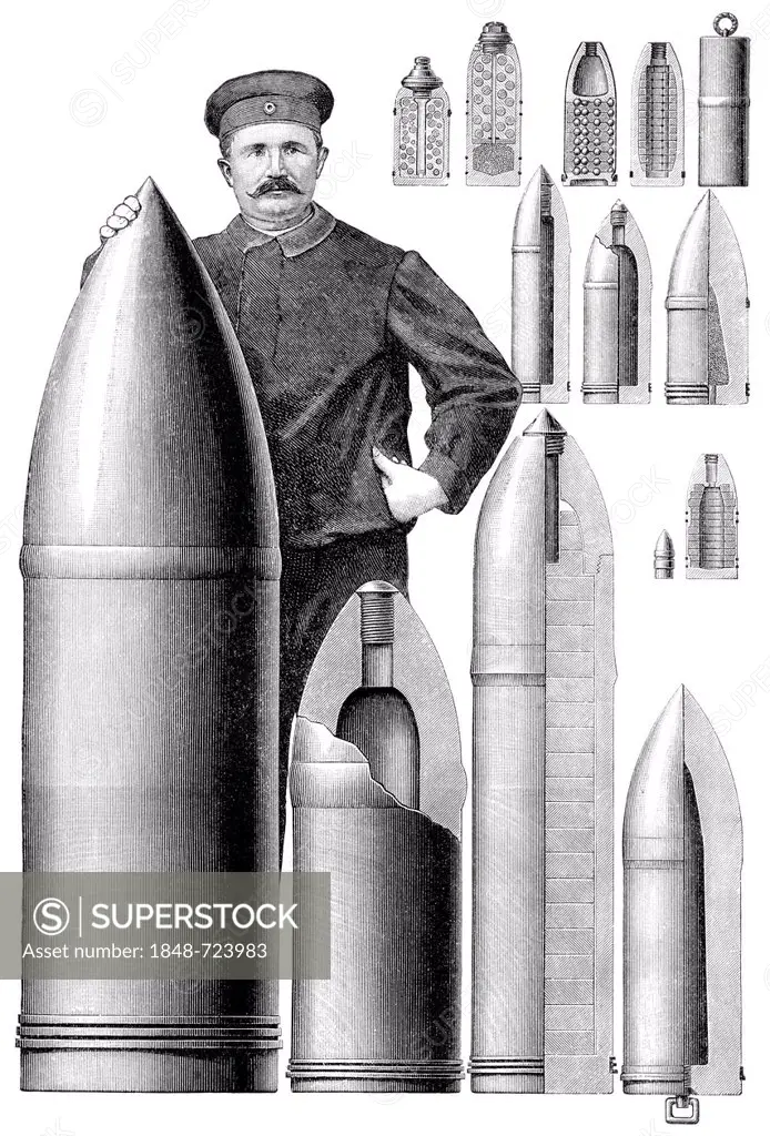 Historical illustration from the 19th Century, representation of various shells