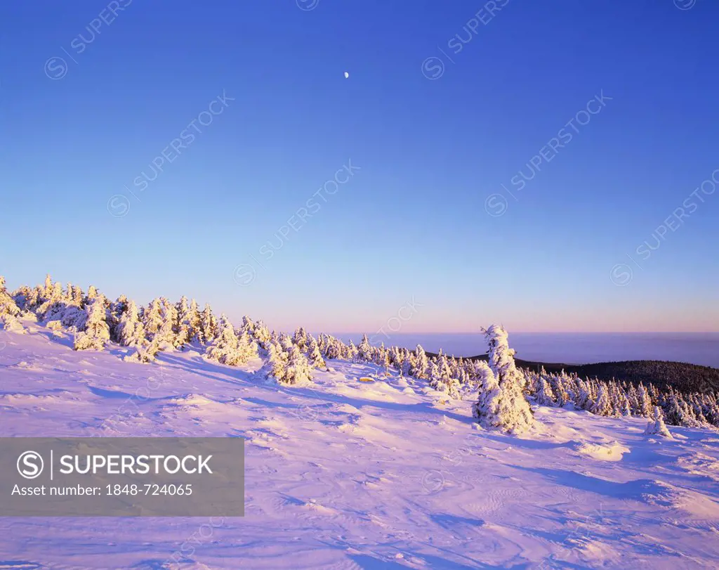 Winter landscape on Mt Brocken, moon in the sky, Harz mountain range, Saxony-Anhalt, Germany, Europe