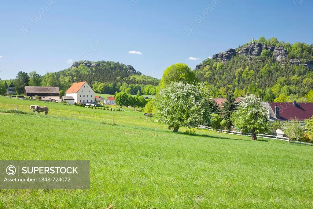 View over Papstdorf with Papststein Mountain and Gohrisch Mountain, Elbe Sandstone Mountains, Saxony, Germany, Europe