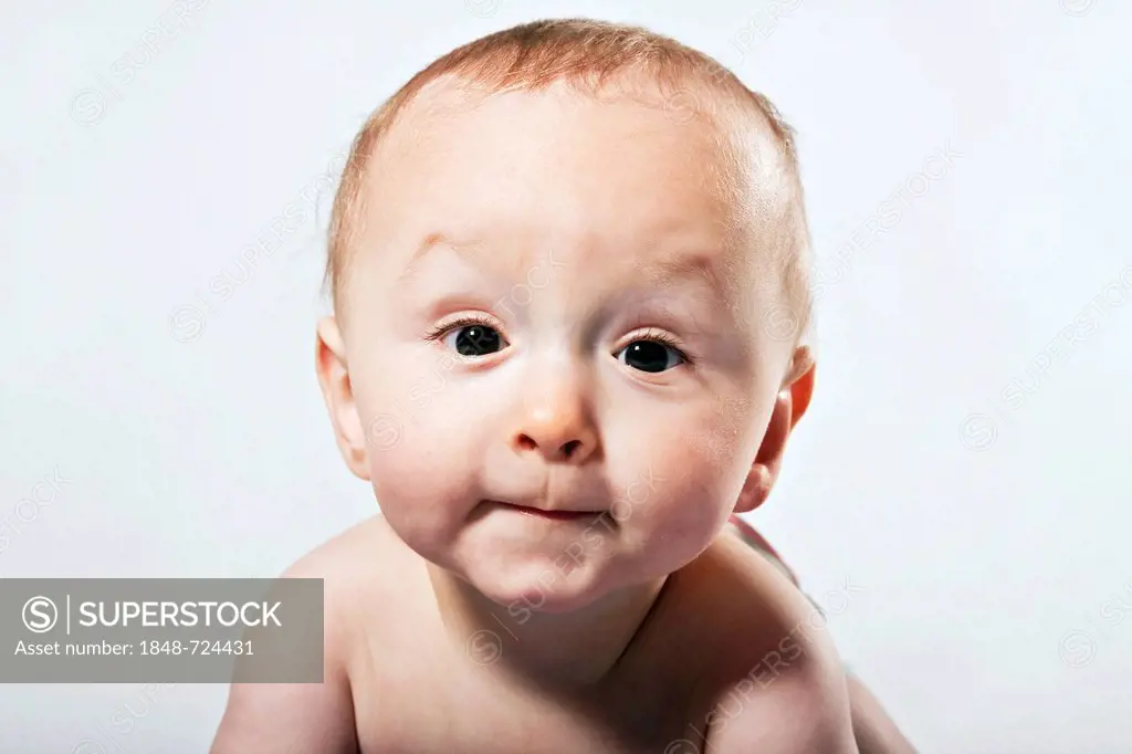 Baby boy, 8 months, portrait