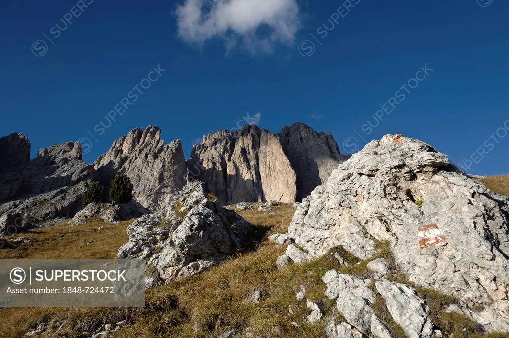 Langkofel, Sassolungo group, as seen from the Friedrich August trail, Dolomites, South Tyrol, Italy, Europe