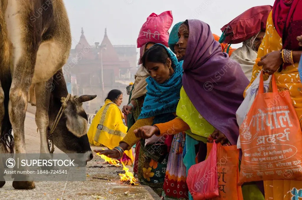 Rituals being performed at the ghats of Varanasi, Uttar Pradesh, India, Asia