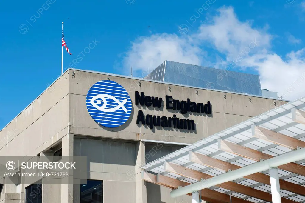 New England Aquarium, Boston, Massachusetts, New England, USA, North America
