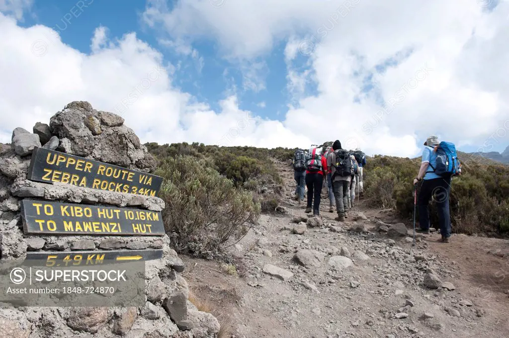 Mountaineering, trekking, signposts, wooden signs above Horombo Hut en route to Kibo Hut via Zebra Rocks, group of mountaineers hiking along the path,...