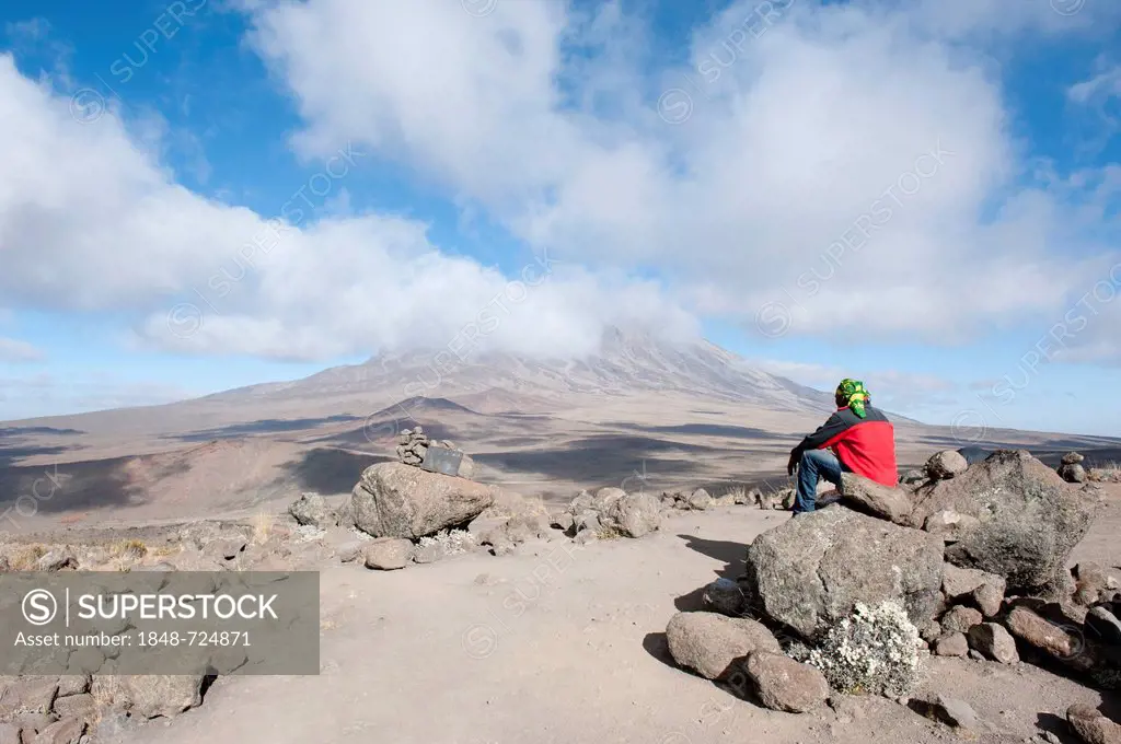Mountaineer taking in views from East Lava Hill across the Kibo Saddle to the summit of Mount Kilimanjaro, in clouds, Marangu Route, Tanzania, East Af...