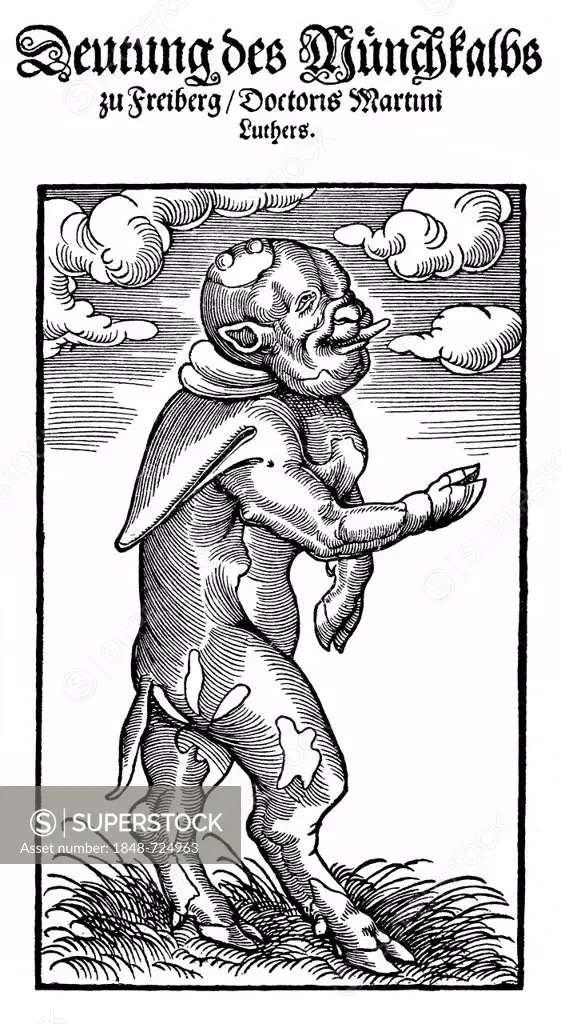Satirical pamphlet from the 16th Century against the state of the monks in the Middle Ages, the monk calf, a mixture of monk and calf