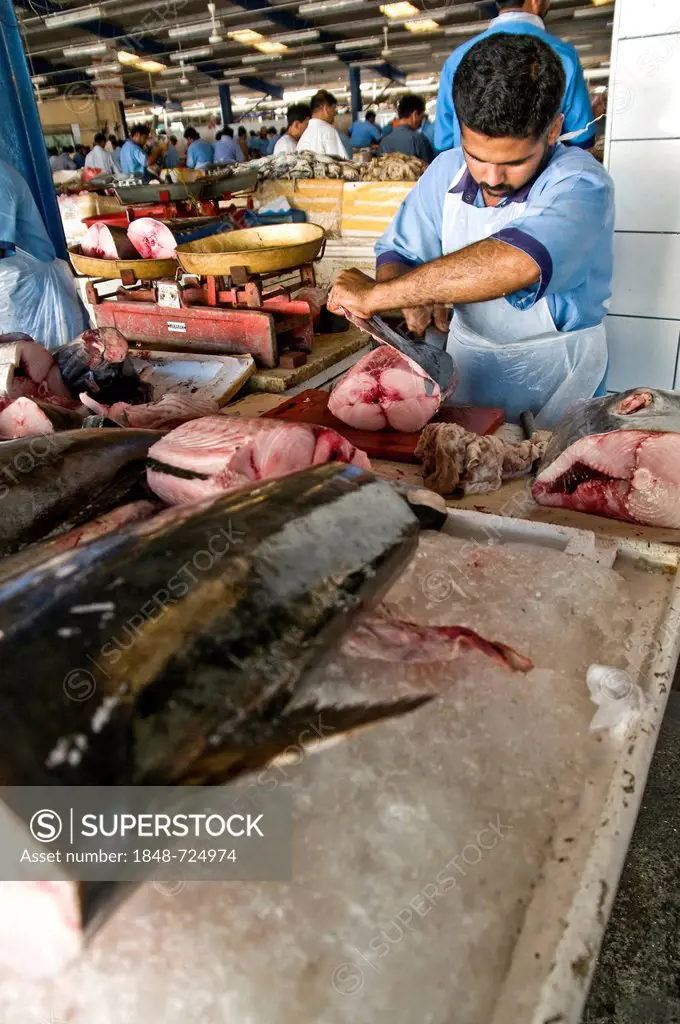 Fish market, Sharjah, United Arab Emirates, Middle East, Asia