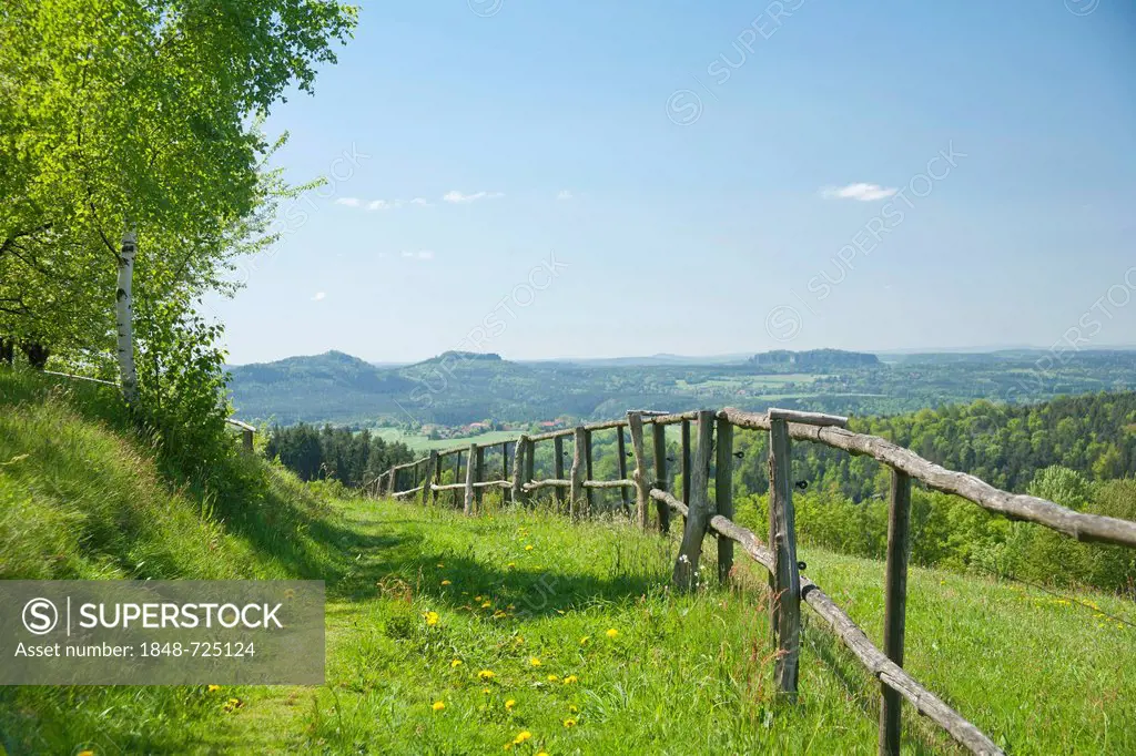 Meadow path to Hankehuebel Mountain, Gossdorf, Saxon Switzerland, Saxony, Germany, Europe