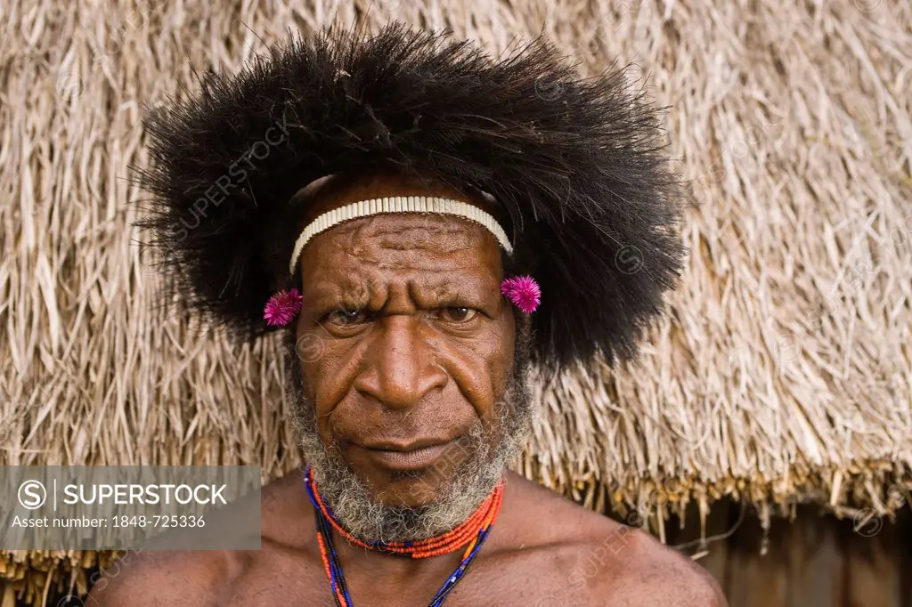 Man from the Dani tribe, portrait, Baliem Valley, West Papua, Western New Guinea, Indonesia, Asia