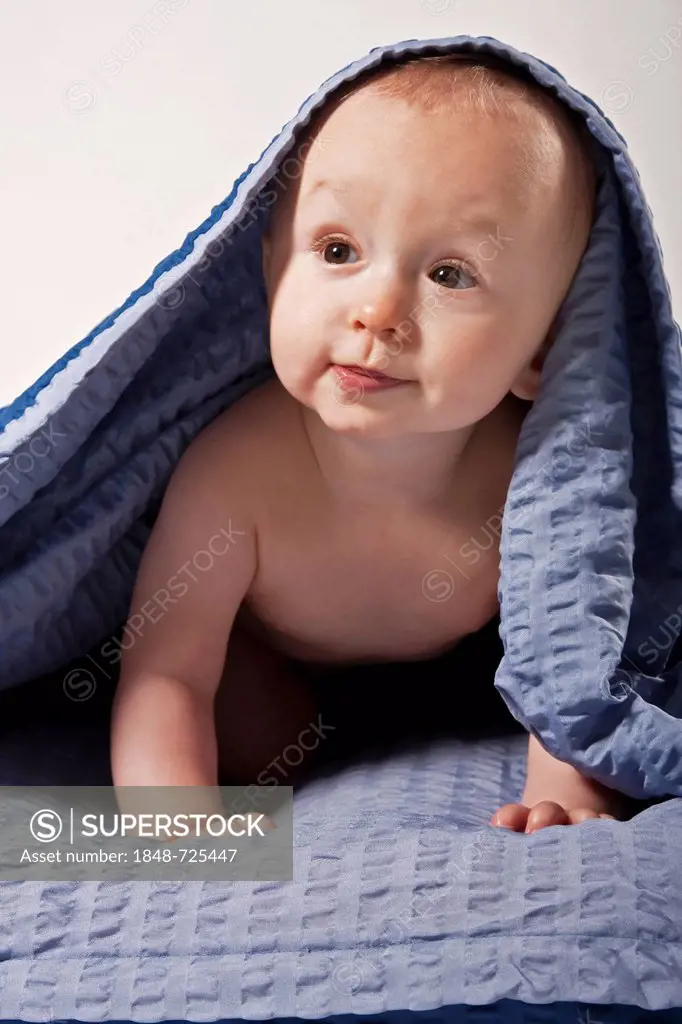 Baby boy, 8 months, under a blanket