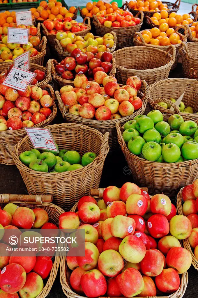 Market stall with fruit at the Viktualienmarkt markets, Munich, Bavaria, Germany, Europe