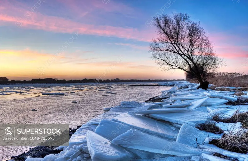 Ice on the banks of the Elbe river in winter, Kirchwerder, Vier- und Marschlande landscape, Hamburg, Germany, Europe