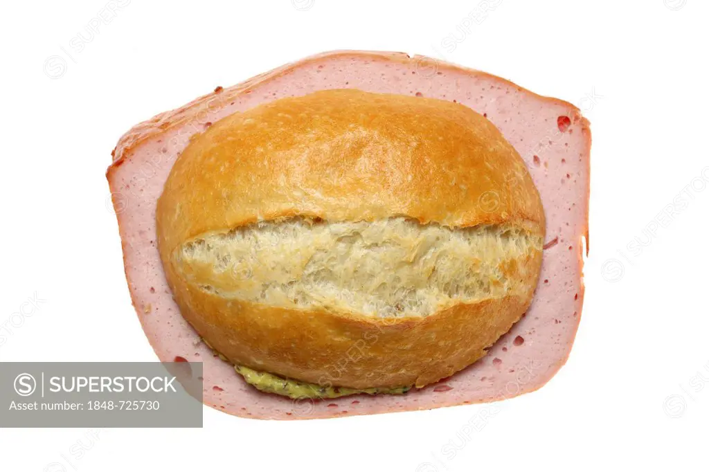Fast food, bread roll with meatloaf and mustard