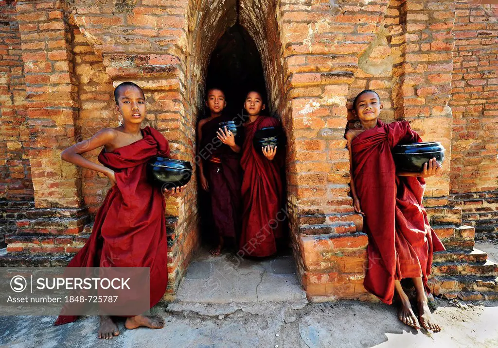 Young Buddhist novices holding alms bowls in front of the old monastery walls at the Shwezigon Pagoda in Bagan, Myanmar, Burma, Southeast Asia, Asia