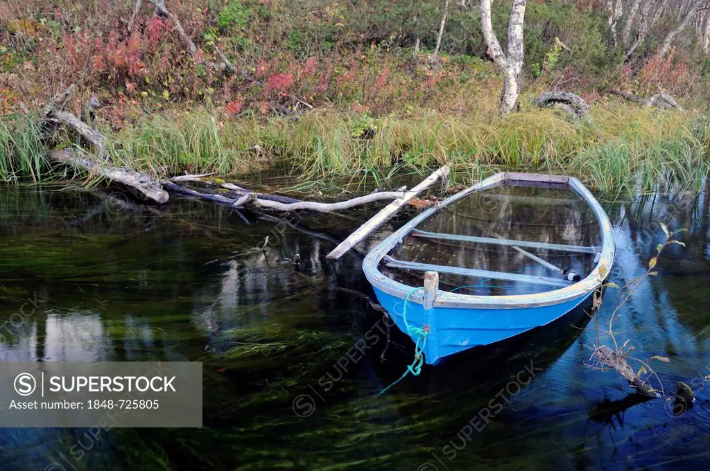 Old sunken boat in a creek, Rondane National Park, Norway, Europe