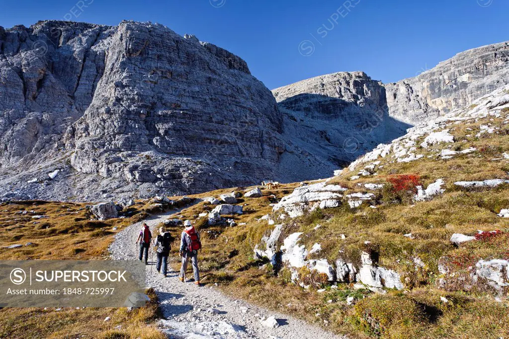 Hikers ascending Paternkoffel Pass above the Zsigmondy Hut, looking towards the Buellelejoch Pass, Sesto, Alta Pusteria, Dolomites, Alto Adige, Italy,...