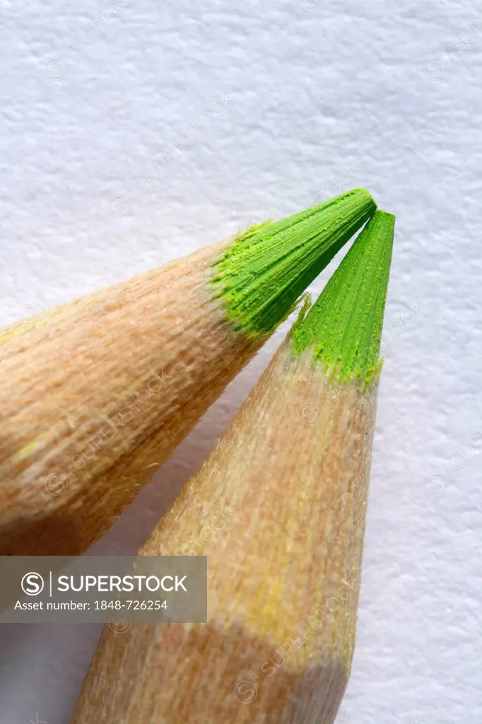 Two green coloured pencils