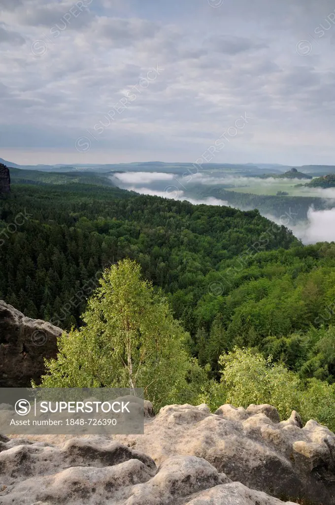 View of the Elbe river valley from Malerweg hiking trail, Saxon Switzerland, Elbe Sandstone Mountains, Saxony, Germany, Europe