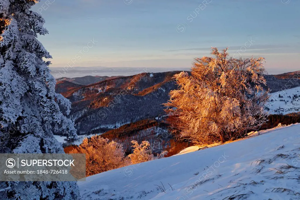 View looking south from Belchen mountain in winter, sunrise, Schoenau, Baden-Wuerttemberg, Black Forest mountain range, Germany, Europe