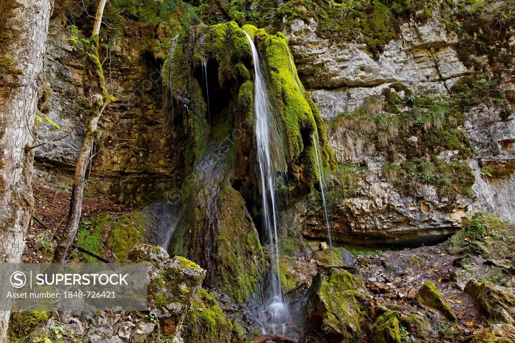 Small waterfall on calc-sinter deposits, Wutachschlucht gorge, near the former Bad Boll, Bonndorf, Baden-Wuerttemberg, Black Forest mountain range, Ge...