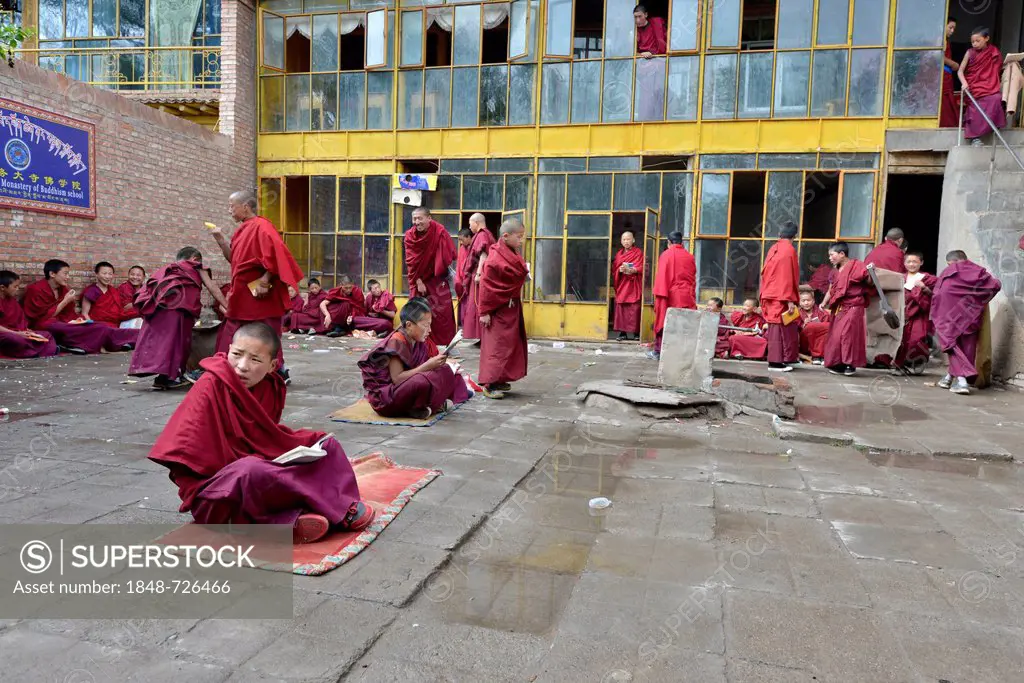 Young Tibetan novice monks in red robes, students at a Buddhist monastery, Tongren Monastery, Repkong, Qinghai, formerly Amdo, Tibet, China, Asia